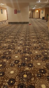 THẢM BỈ  315 - 30 màu lựa chọn ( 495 )