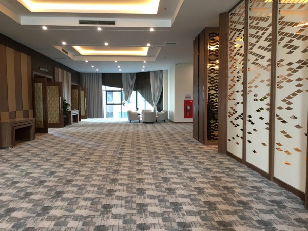 Thảm trải sàn âu mỹ công trình 33