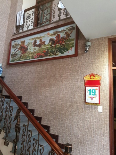 Thảm công trình dán tường3