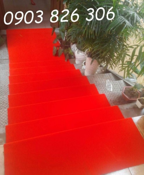 Thảm công trình cầu thang6